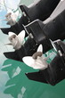 outboard engines