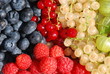 Foto: Variety of organically grown berries Variety of organically grown berries
