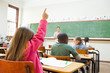 Girl raising hand during lesson