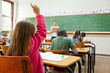 Back view of girl raising hand during lesson