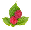Raspberry