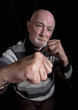 Photo: Boxer Boxer