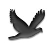 taube dove symbol