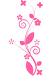 pink flower
