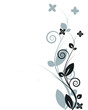 Photo: flower with gray shadow flower with gray shadow