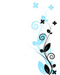 Photo: flowe with blue shadow flowe with blue shadow
