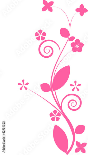 Photo: pink flower pink flower