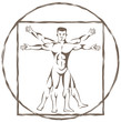 Vector: vitruvian man vitruvian man