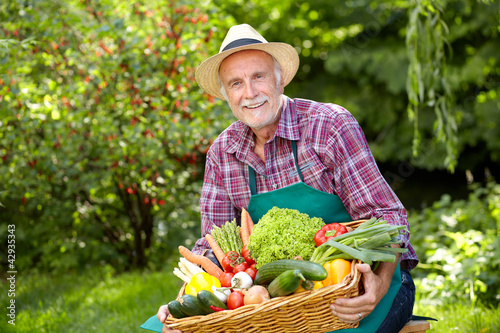 Foto: Senior gardener with a basket of vegetables Senior gardener with a basket of vegetables