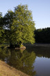 Teich in der Nähe der Externsteine