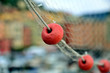 fishing nets camogli