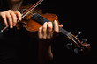 Musician playing violin