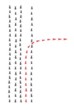 ameisenpfad 4b
