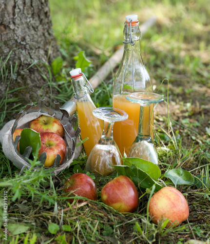 Foto: Erntezeit Erntezeit