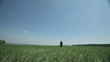 Video: Peaceful view Peaceful view