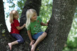 Foto: 2 Kinder im Baum 2 Kinder im Baum