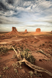 Monument Valley - Fine Art prints