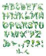 bay leaf, set of letters