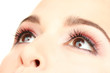 female eyes with beautiful make-up
