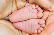 Tiny baby's feet