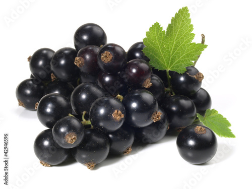 Photo: Johannisbeeren - schwarz Johannisbeeren - schwarz
