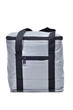 cooler bag
