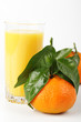 Mandarin orange and juice