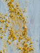 Loose rust on exterior iron metal surface in sun