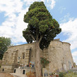 Foto: Chapelle Saint-Julien de Montredon Chapelle Saint-Julien de Montredon