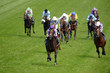 Horse Racing