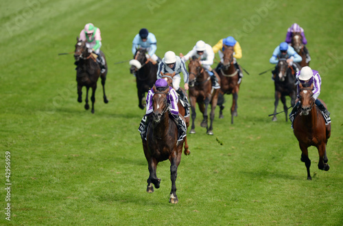 Photo: Horse Racing Horse Racing