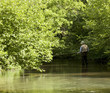 Photo: trout stream trout stream