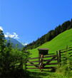 Wanderin im Stubaital