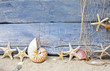 Maritimer Hintergrund: Strandgut, Muscheln und Seesterne