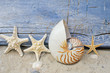 Urlaubserinnerung mit Seesternen und Nautilus