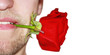 valentine gift