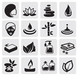 Spa icons set