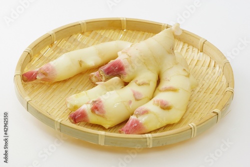Photo: 新生姜 新生姜