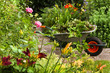 Summer garden with flowers and wheelbarrow