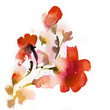Abstract floral watercolor