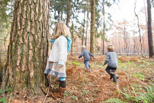 Foto: Kinder im Wald Kinder im Wald