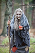 Hexe im Wald