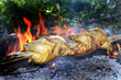 Photo: grilling grilling
