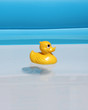 Badeente im Planschbecken