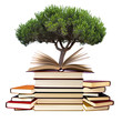 libros y árbol, concepto