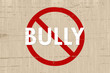 No Bully Zone