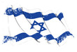 Grange Flag of Israel