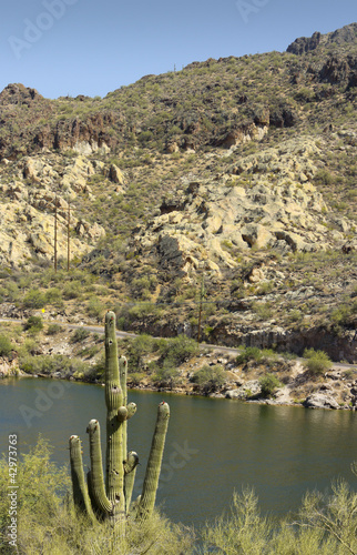Photo: Saguaro at Canyon Lake, Arizona Saguaro at Canyon Lake, Arizona