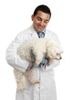 Foto: Veterinarian carrying a small dog Veterinarian carrying a small dog