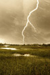 lightning and rain over the swamp